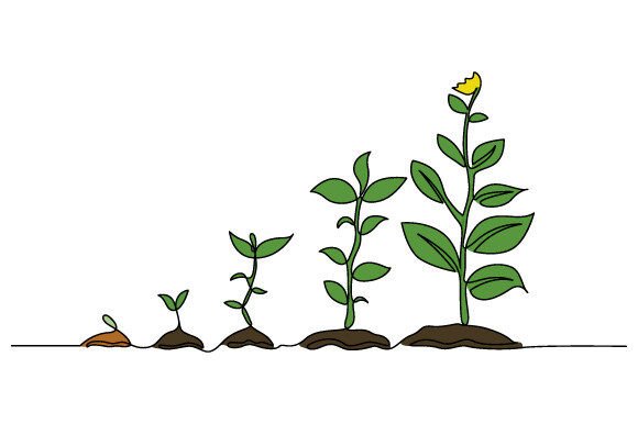 One Line Tree Vector: Graphics & Illustrations